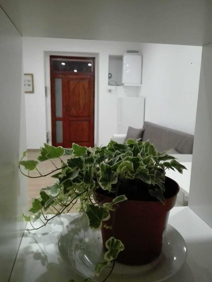 Al Centro Di Cagliari Apartment Bagian luar foto
